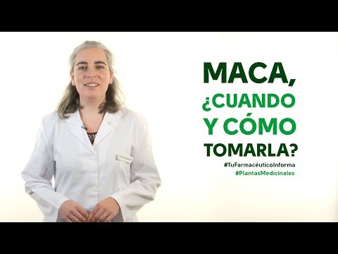 Maca, cuándo y cómo debemos tomarla. Tu Farmacéutico Informa - #PlantasMedicinales